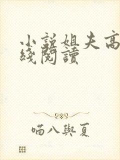 小说姐夫高h在线阅读