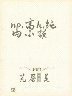 np,高h,纯肉小说
