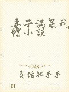 妻子满足我的绿帽小说