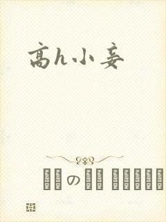 高h小妾封面