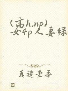 (高h,np)女4p人妻绿帽
