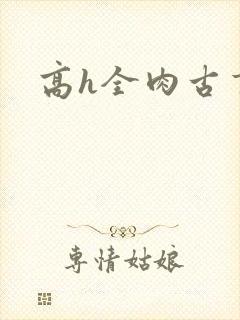 高h全肉古言