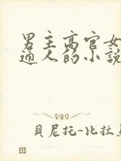 男主高官女主普通人的小说封面