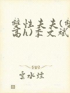 双性夫夫(双性高h)季文斌封面