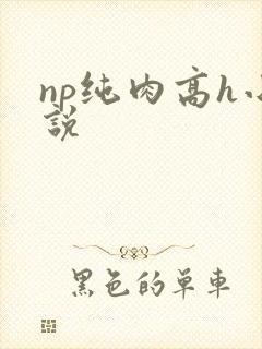 np纯肉高h小说