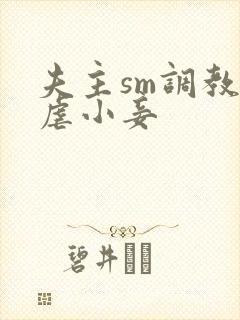 夫主sm调教狠虐小妾封面