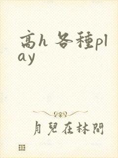 高h 各种play