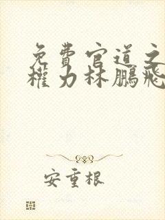 免费官道之绝对权力林鹏飞安江小说