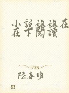 小说姐姐在上我在下阅读封面