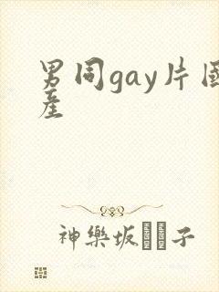 男同gay片国产封面