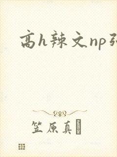 高h辣文np强