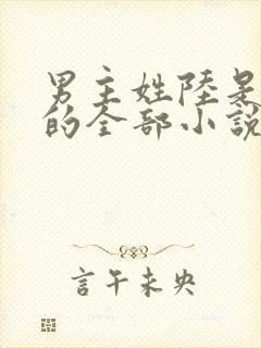 男主姓陆是总裁的全部小说