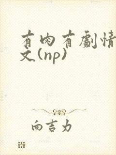 有肉有剧情的h文(np)