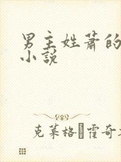 男主姓萧的古言小说
