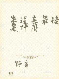 朱道来最后结局是什么封面