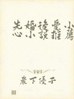 先婚后爱小说虐心小说推荐古言