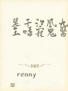 慕千汐凰九夜邪王嗜宠鬼医狂妃免费阅读