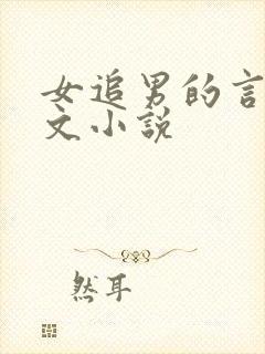 女追男的言情宠文小说