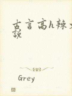 古言高h辣文小说