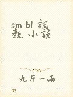 sm bl 调教 小说