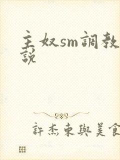 主奴sm调教小说封面