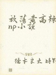 放荡黄高辣h文np小说