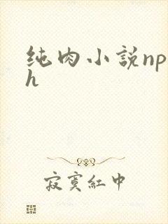纯肉小说np高h