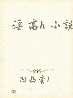 淫 高h 小说