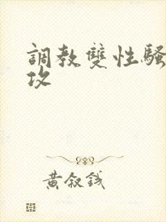 调教双性骚货总攻