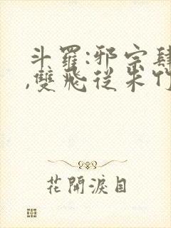 斗罗:邪宗肆虐,双飞从朱竹清和千仞雪封面