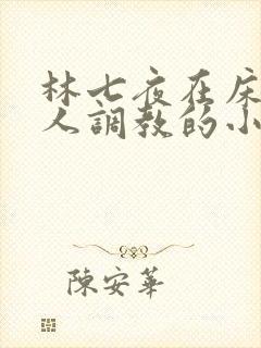 林七夜在床被主人调教的小说