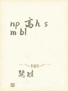np 高h sm bl