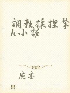 调教揉捏揪奶头h小说