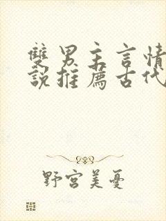 双男主言情的小说推荐古代封面