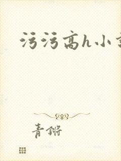 污污高h小说封面