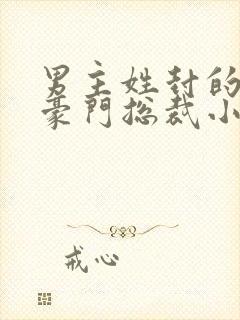 男主姓封的所有豪门总裁小说