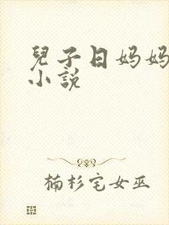 儿子日妈妈的逼小说封面