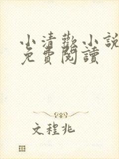 小清欢小说全文免费阅读封面