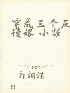 穿成三个反派的后娘 小说