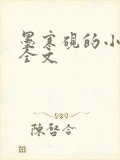 墨寒砚的小镇2全文封面