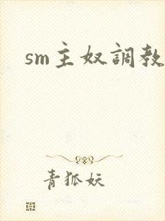 sm主奴调教