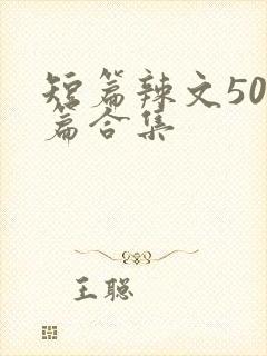 短篇辣文500篇合集封面