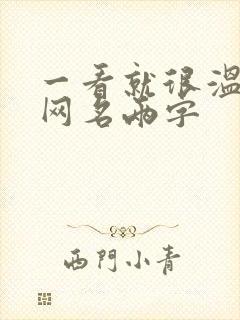 一看就很温柔的网名两字