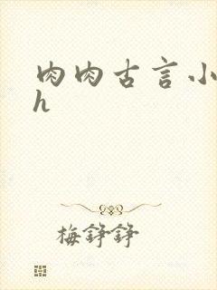 肉肉古言小说hh封面