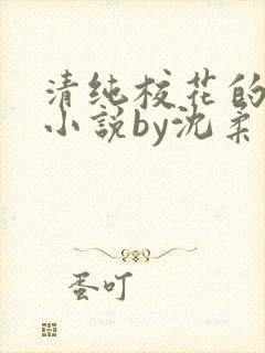清纯校花的日常小说by沈柔