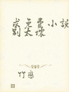 求免费小说总裁别太坏