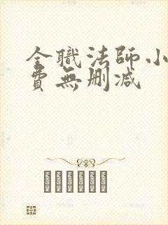 全职法师小说免费无删减