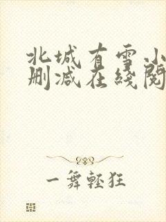 北城有雪小说无删减在线阅读封面