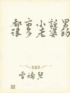 都市小说男主有很多老婆的修真