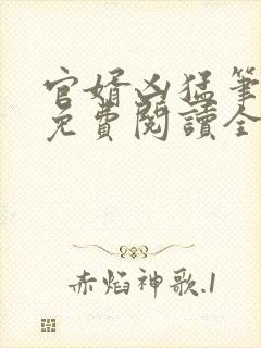 官婿凶猛笔趣阁免费阅读全文封面